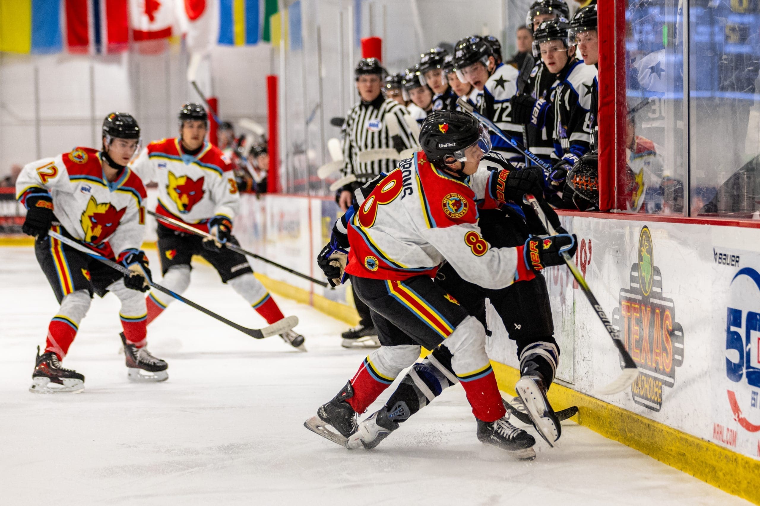 Sean Gibbons throwing a hit along the board for the New Mexico Ice Wolves; Photo Credit: New Mexico Ice Wolves/Zach Price